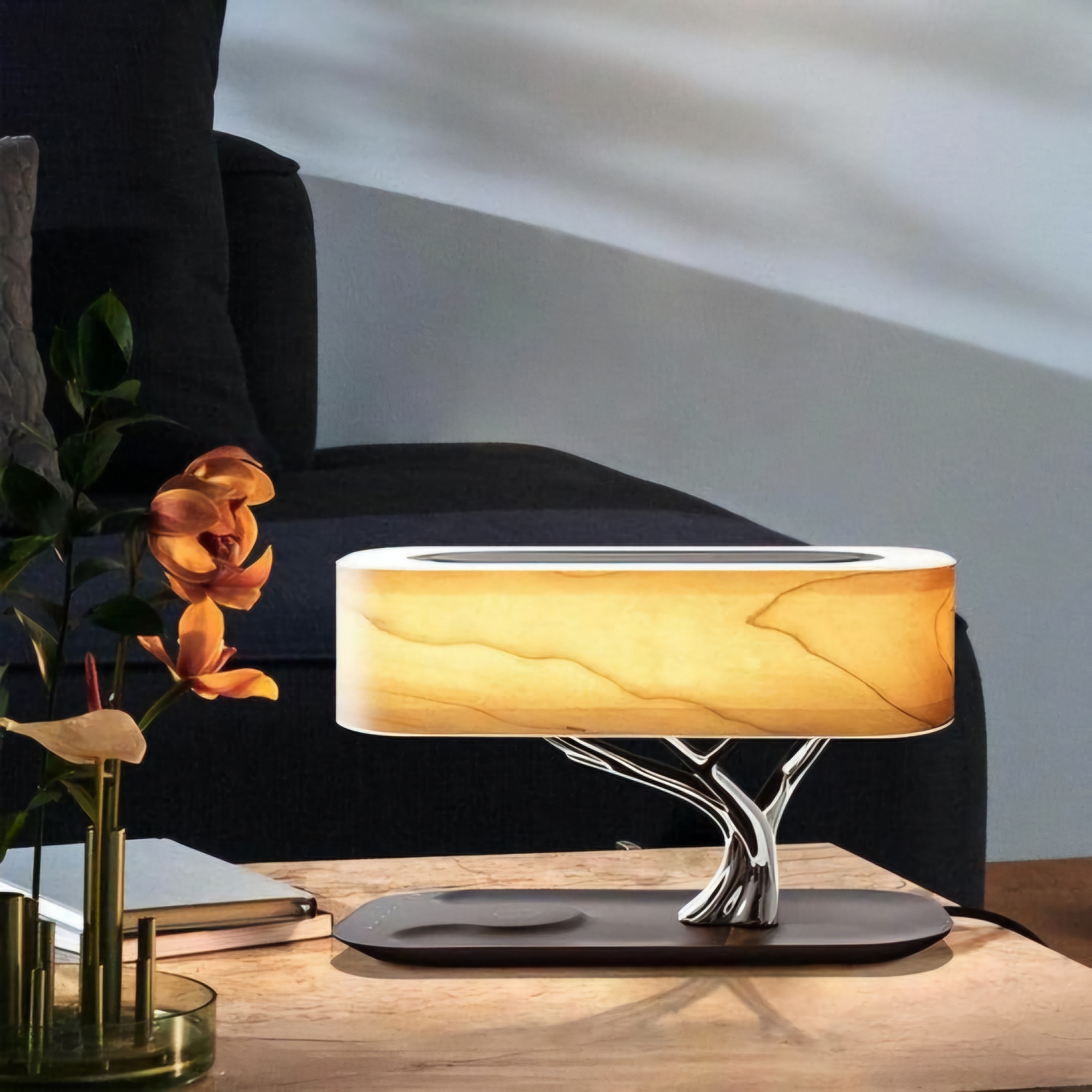 Night Desk Lamp (2)